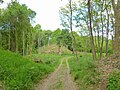 Mottes féodales dites Les Bourgs Heusas (XIe siècle) vue depuis le chemin d'accès ouest.