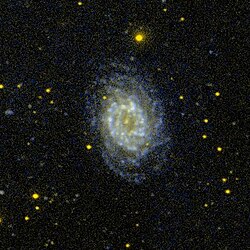 NGC 3887