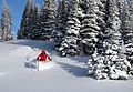 Powder day at Marmot Basin