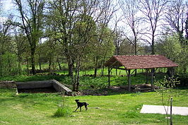 Lavoir (openbare wasplaats)