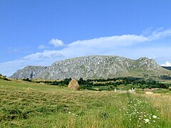 Piatra Secuiului