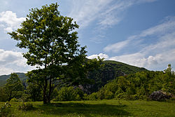 Veduta della riserva regionale Guardiaregia-Campochiaro