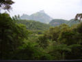 Vue du parc national de la Tijuca, qui occupe une partie du quartier.