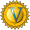 VI seal