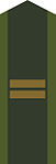 Armén (fältuniform)