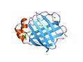 Thumbnail for File:PDB 1lfo EBI.jpg