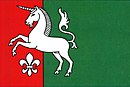 Drapeau de Radenice