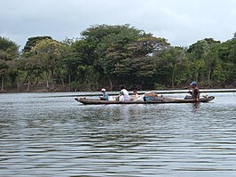 Transport op de Rupununi