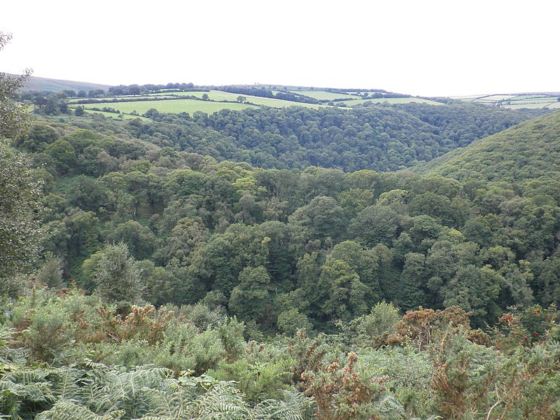 File:Cloutsham Ball - geograph.org.uk - 2561699.jpg