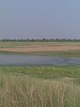 Budhi Gandak river bank in Rampurwa Mehsi