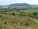 Bulverton Plantation as seen from Fire Beacon Hill.