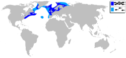 Udbredelsen af atlantisk sild