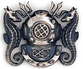 Master diver badge