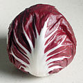 Radicchio Rosso di Chioggia