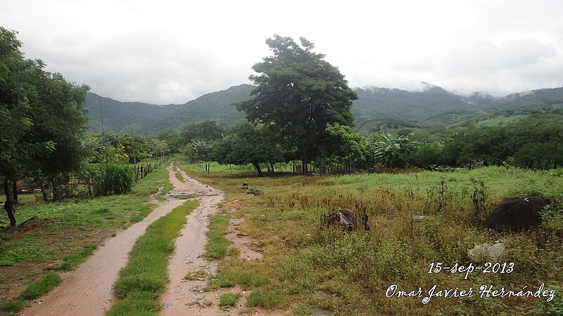 File:CARRETERA-HACIA VILLA NUEVA.JPG