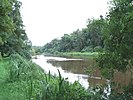 River Boyne upstream from Slane.