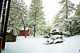 Sierra de San Pedro Martir Basha Kalifornia