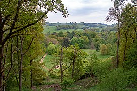 Winkworth Arboretum in spring