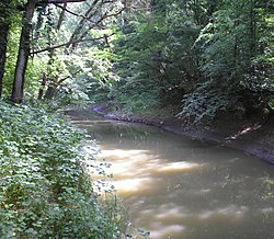 Řeka Ilova u vesnice Veliko Vukovje