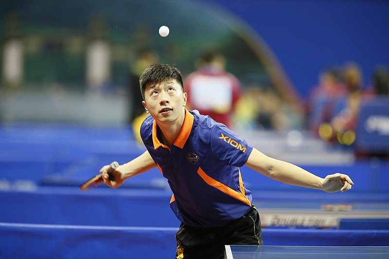 File:Ma Long ACTTC2016 24.jpeg