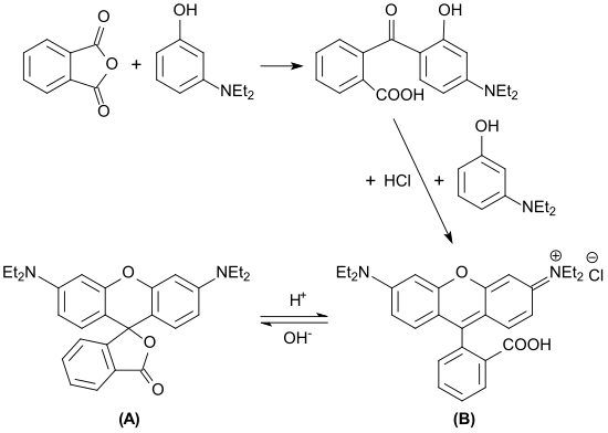 File:Synthese von Rhodamin B.svg