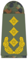 Tyskland, Bundeswehr Generalleutnant.