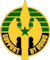 220th Military Police Brigade Distinctive Unit Insignia