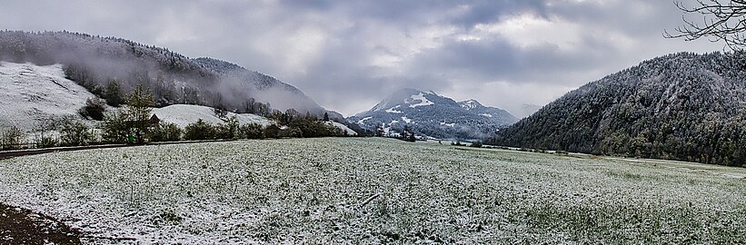 Die aneinanderstossenden Biotope Im Moos Reuthe und Im Moos Bizau. Blick nach Osten, im Hintergrund der Hirschberg