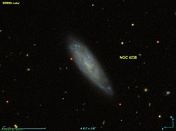 Выгляд NGC 4238