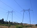 Thinner towers north of Table Mountain crossing SR 36, cutting through the woodlands of the Sierra foothills. They resemble the southern towers to the left, but look closely to see the differences.