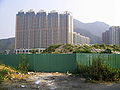 Lake Silver in front of a Lok Wo Sha project site