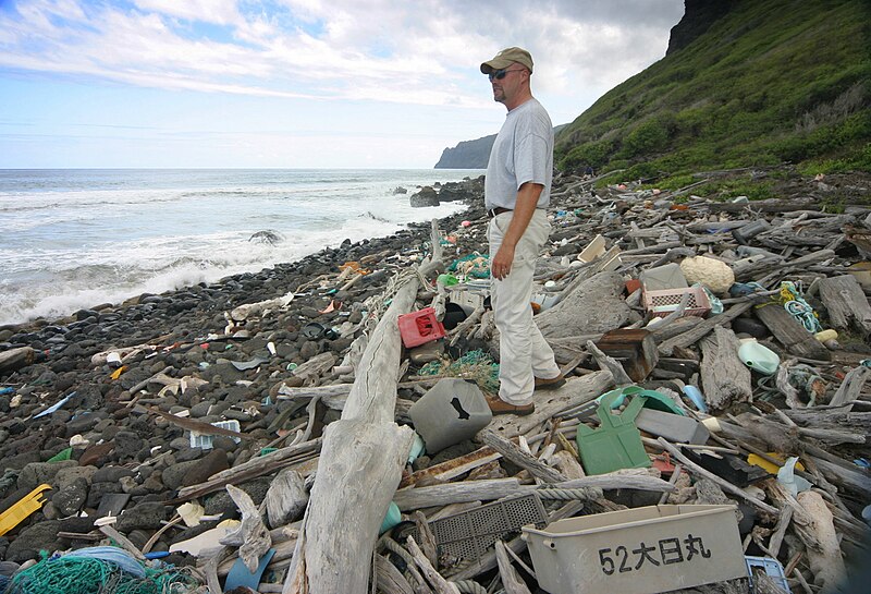 File:Niihau-Trash-Beach.jpg