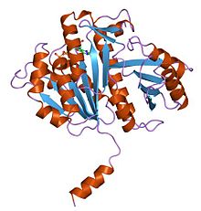 PDB 1fsz EBI.jpg