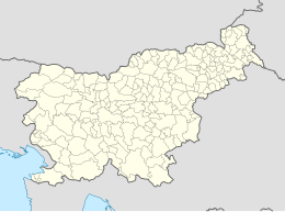 Ledina (Slovenië)