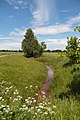 Bardelgraben an der Südgrenze des Naturschutzgebiets Recker Moor