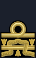 Distintivo per paramano dell'uniforme ordinaria invernale.