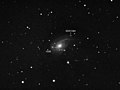 Amateur-Aufnahme von NGC 772 mit SN 2003hl und SN 2003iq sowie dem Asteroiden (6223) Dahl