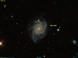 NGC 2942