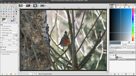 GIMP 2.8 onder Linux