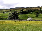 Wild Boar Fell, seen from Mallerstang in June, with wild flowers in the hay meadows