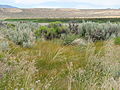 Lake Swan, Nevada