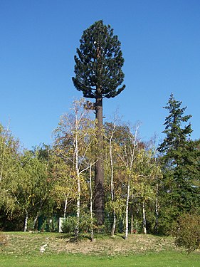 A site concealed in a tree in Yvelines, France