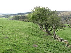 Carvoran (Magna) Roman Fort - west boundary - geograph.org.uk - 1374223.jpg