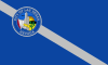 Bendera Kota Las Vegas (bahasa Inggris: City of Las Vegas)