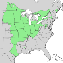 Generalized natural range