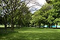 Eastern side of Fairview Park