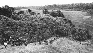 Indfødte fra Salomonøerne viser vej for amerikanske marinesoldater, som forfølger japanske styrker på Guadalcanal i november 1942