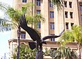 The Eagle on top of the RAAF Memorial at Queens Gardens