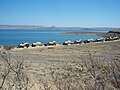 A campsite with chalets at the water's edge. Note the dry conditions (conducive to bush fires) in the wintertime.