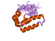 2ctr: Solution structure of J-domain from human DnaJ subfamily B member 9